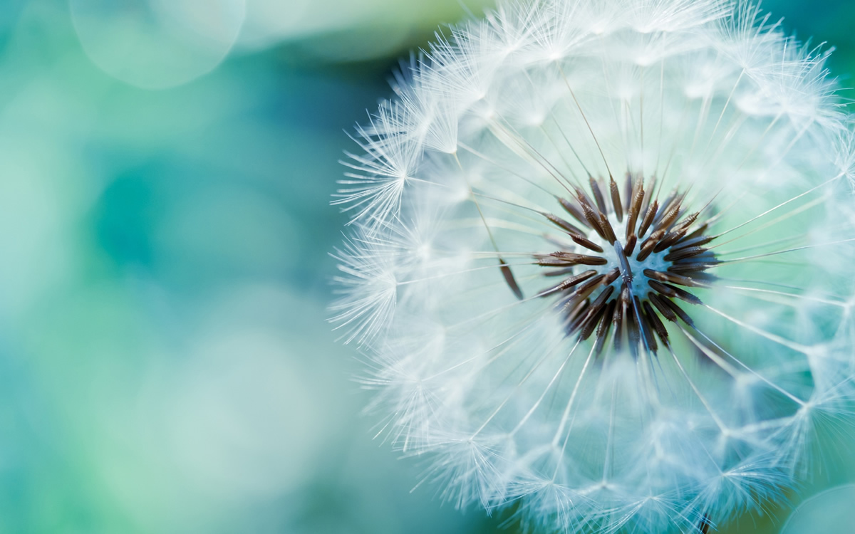 Slider banner image -  1
